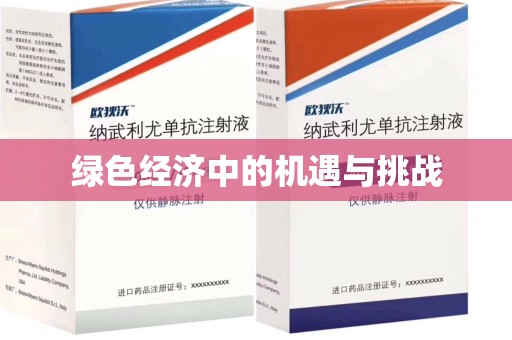 洛阳绿色经济中的机遇与挑战