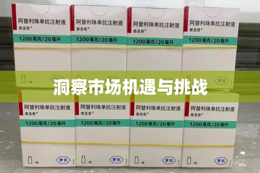 洛阳洞察市场机遇与挑战