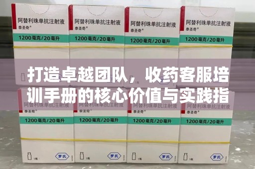 洛阳打造卓越团队，收药客服培训手册的核心价值与实践指南