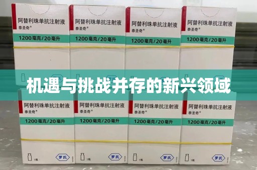洛阳机遇与挑战并存的新兴领域
