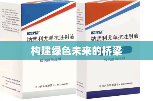 洛阳构建绿色未来的桥梁