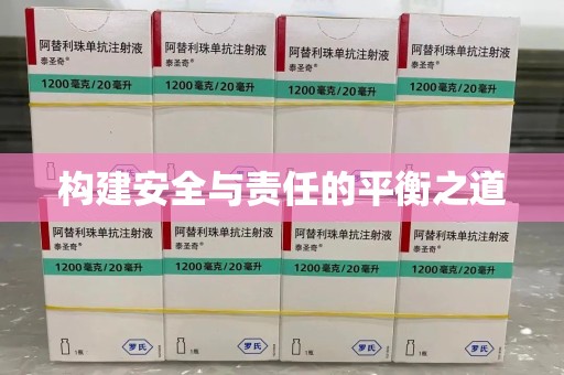 洛阳构建安全与责任的平衡之道