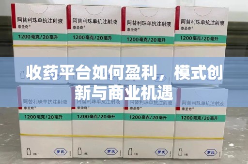 洛阳收药平台如何盈利，模式创新与商业机遇