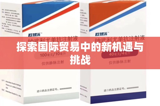 洛阳探索国际贸易中的新机遇与挑战