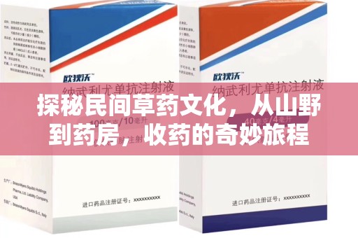 洛阳探秘民间草药文化，从山野到药房，收药的奇妙旅程