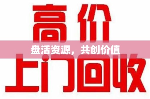 洛阳盘活资源，共创价值